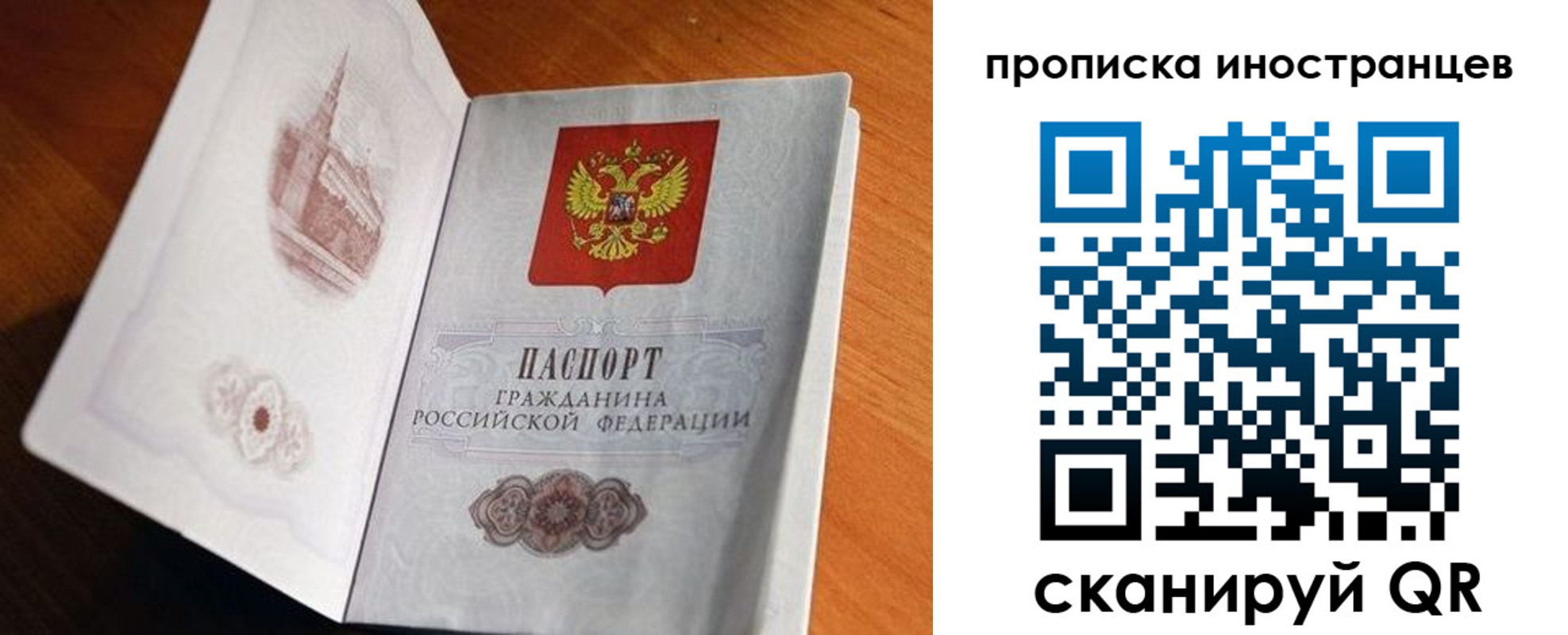 прописка 2025 в Елизово